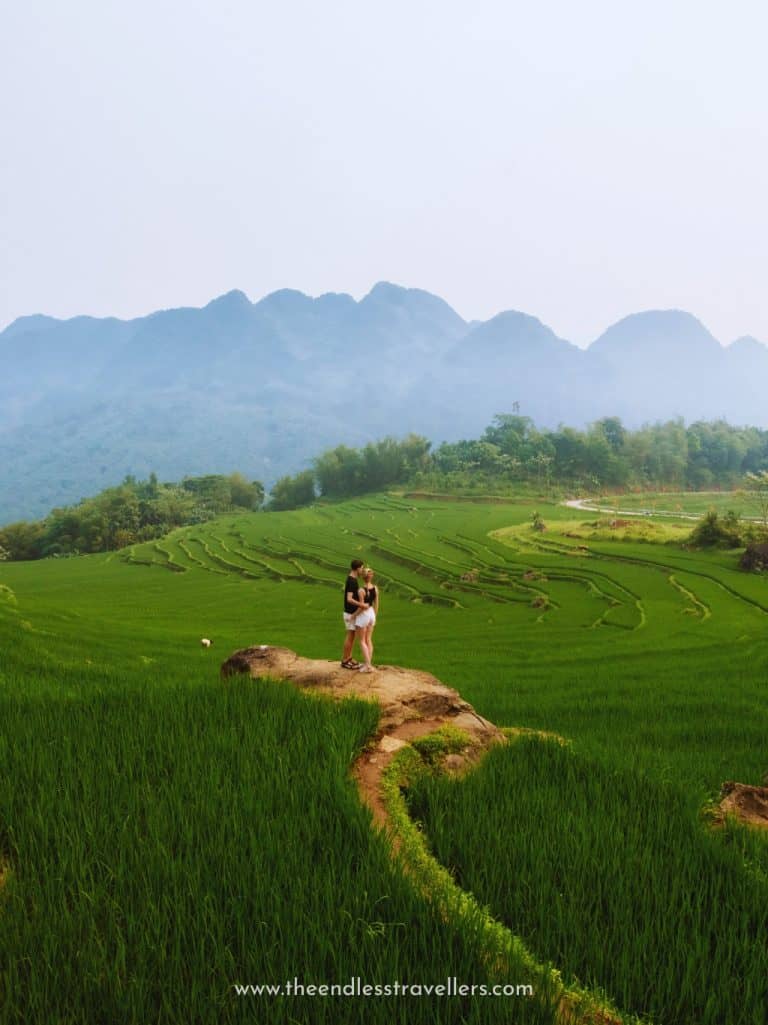 Couple standing together on a narrow dirt path surrounded by vibrant green rice fields with misty mountains rising in the background.