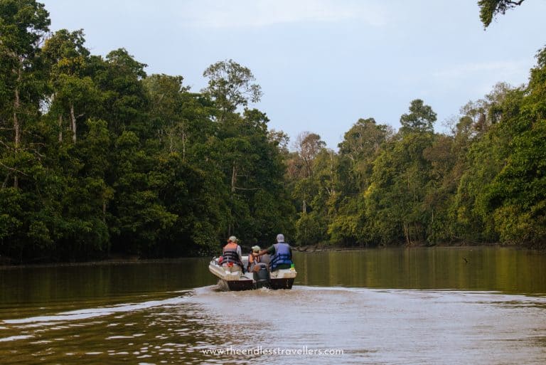 Small boat travelling along a calm jungle river during a Kinabatangan River cruise in Sabah, Borneo